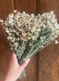 dried florals