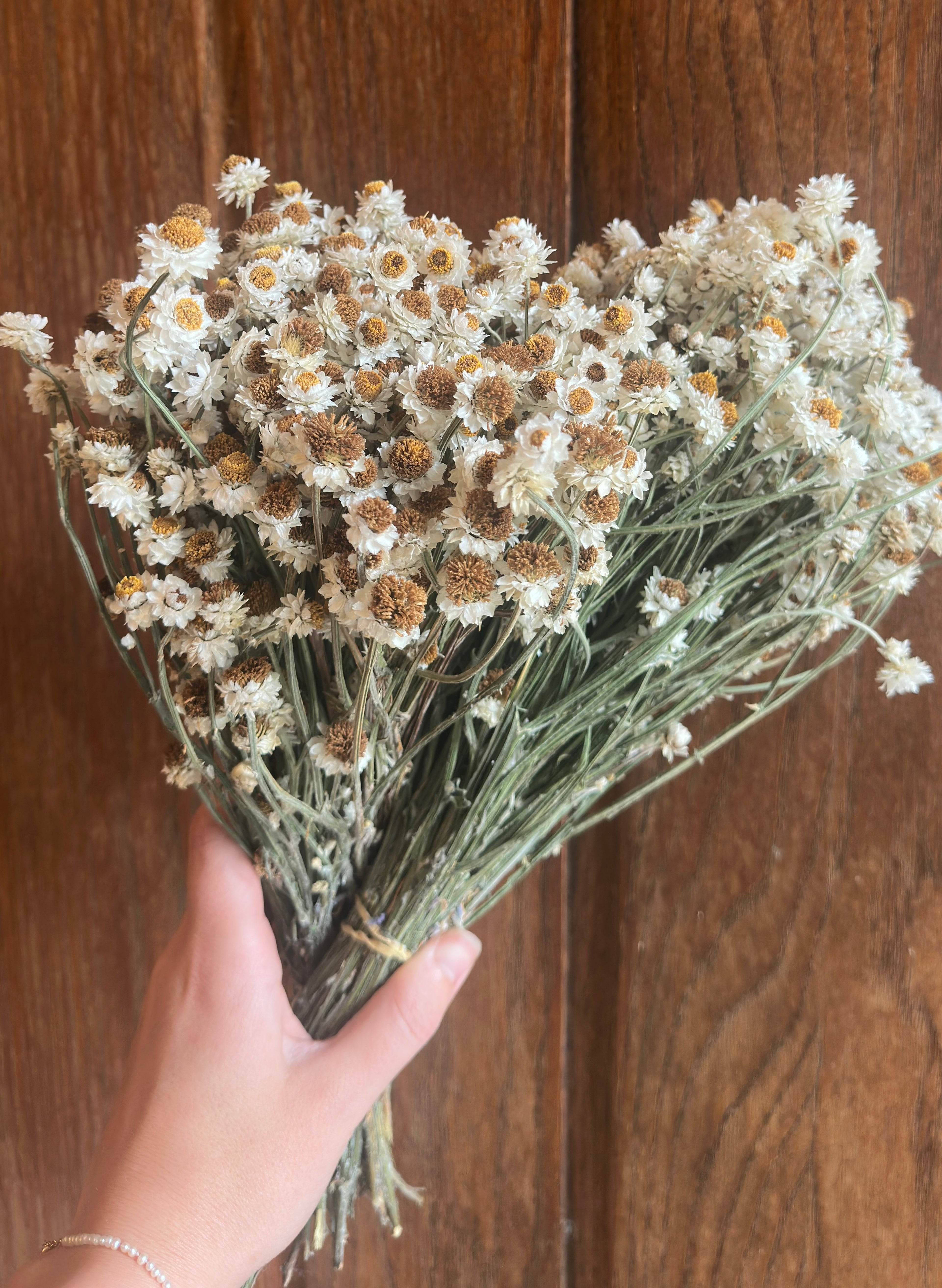 dried florals
