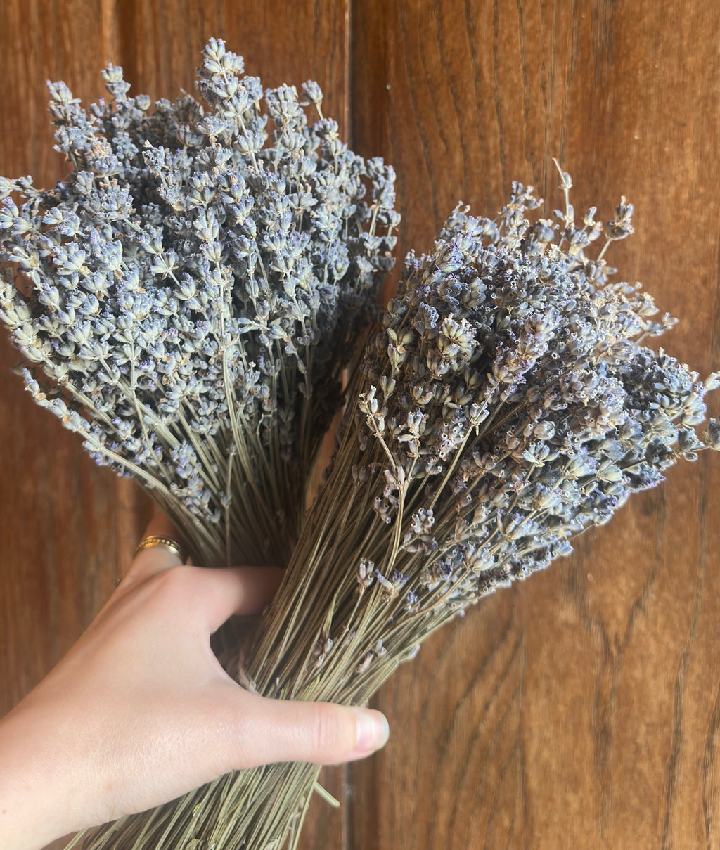 dried lavender