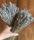 dried lavender